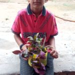 WhatsApp Image 2021-06-03 at 3.08.39 PM