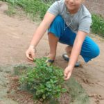 WhatsApp Image 2021-06-03 at 3.27.02 PM