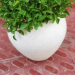 WhatsApp Image 2021-06-03 at 4.05.06 PM