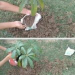 WhatsApp Image 2021-06-03 at 4.42.16 PM