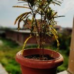 WhatsApp Image 2021-06-03 at 5.13.46 PM