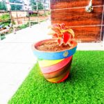 WhatsApp Image 2021-06-03 at 6.06.27 PM