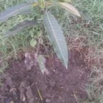 WhatsApp Image 2021-06-03 at 6.10.59 PM