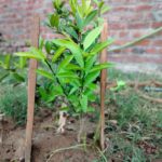 WhatsApp Image 2021-06-03 at 6.55.10 PM