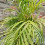 WhatsApp Image 2021-06-03 at 7.08.19 PM(1)