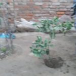 WhatsApp Image 2021-06-03 at 7.13.18 PM