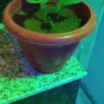 WhatsApp Image 2021-06-03 at 9.43.02 PM