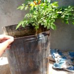 WhatsApp Image 2021-06-04 at 10.48.18 AM