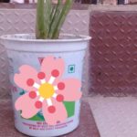 WhatsApp Image 2021-06-04 at 10.58.43 AM(1)